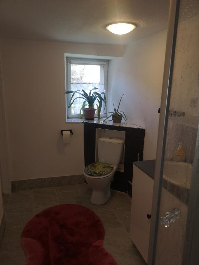 Ferienhaus Salmtal Himmerod Großlittgen Εξωτερικό φωτογραφία
