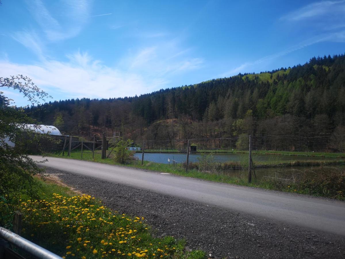 Ferienhaus Salmtal Himmerod Großlittgen Εξωτερικό φωτογραφία