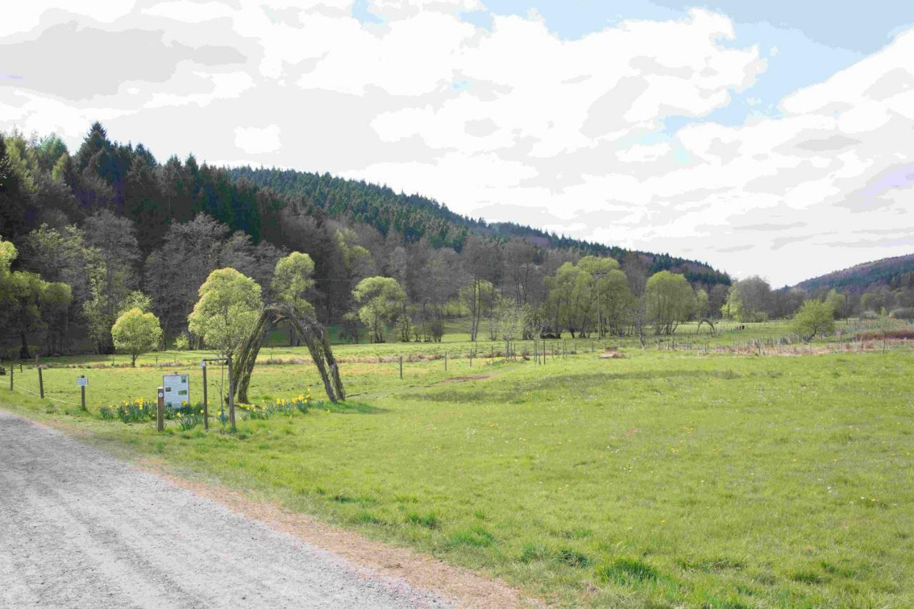 Ferienhaus Salmtal Himmerod Großlittgen Εξωτερικό φωτογραφία